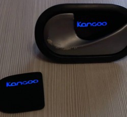 LED подсветка дверных ручек Renault Kangoo 2 с логотипом