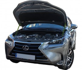 Газовий упор капота Lexus NX 1 AZ10 14-21 2шт