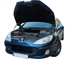 Газовый упор капота Peugeot 407 04-11 комплект 2шт