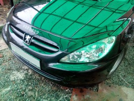 Дефлектор капоту Peugeot 307