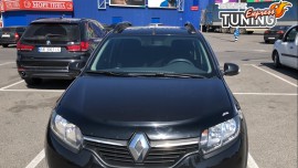 VIP Tuning Мухобойка на капот Рено Сандеро 2
