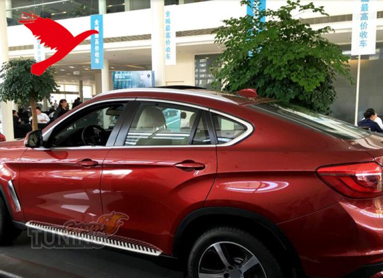 Купить модельные рейлинги на Bmw X6 F16 Киев