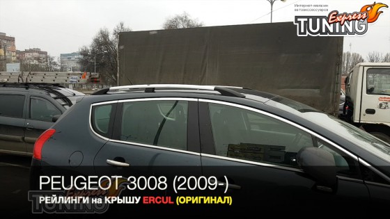 Рейлинги на Peugeot 3008 1