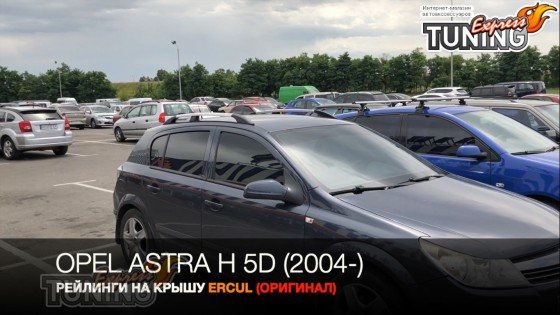 Рейлинги на Опель Астра Н пластиковые концевики