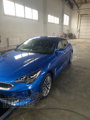 Оригинальные ветровики Kia Stinger 2016