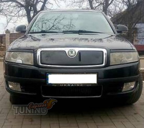 Зимняя накладка на решетку Skoda Superb 1 фото