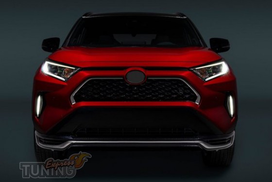 Omsa Line Хром накладки на решітку радіатора Toyota Rav 4 5 (2018-) - Заображення 1