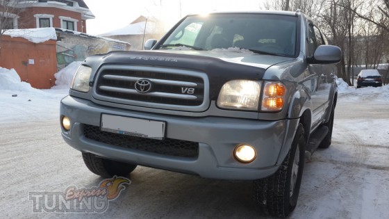 Мухобойка для Toyota Sequoia 1