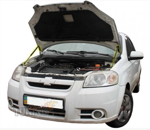 Амортизаторы капота Chevrolet Aveo T250 комплект 2шт