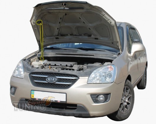 Газовый упор капота Kia Carens 3 UN комплект 2шт