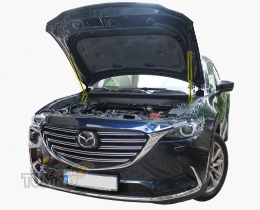 Амортизатор капота Mazda CX-9 TC оригинал 2шт