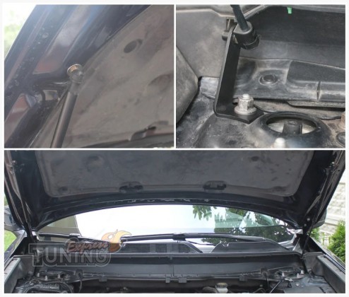 Газовые упоры капота капота Mazda CX-9 TC оригинал 2шт