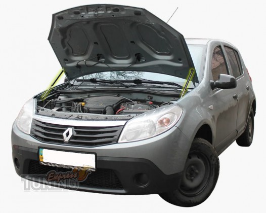 Амортизаторы капота Renault Sandero 1 оригинал 2шт