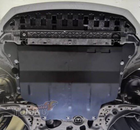 Защита двигателя Audi Q2 GA стальная