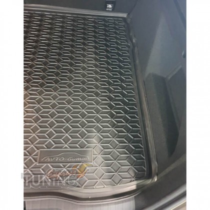Купить коврик для Renault Arkana фото