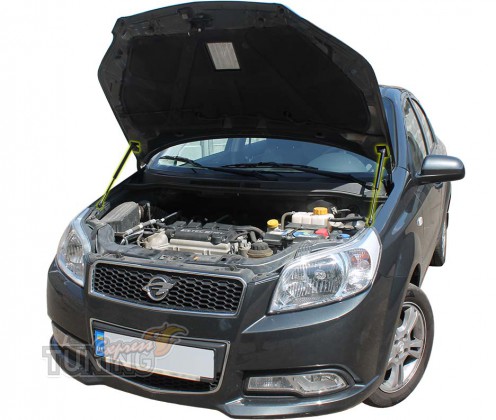 Газовый упор капота Chevrolet Aveo 5d hatchback 