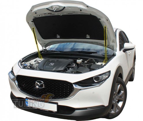 Газовый упор капота Mazda Cx30 оригинал фото