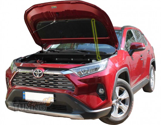 Газовый упор капота Toyota Rav 4 5 поколения фото