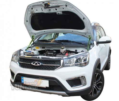 Газовые упоры капота Chery Tiggo 2 фото