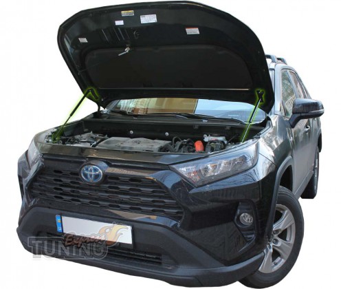 Упоры капота Toyota RAv 4 5 поколения установка
