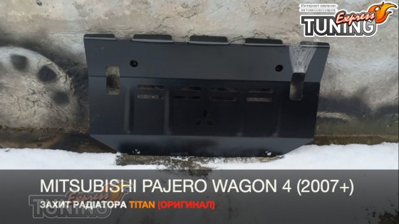 Защита радиатора Mitsubishi Pajero Wagon 4 стальная