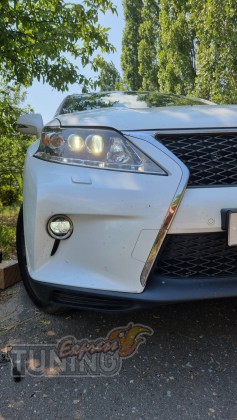 Диодные ПТФ Lexus RX 3 оригинал