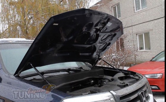 Газовые упоры капота Honda Pilot 2 фото