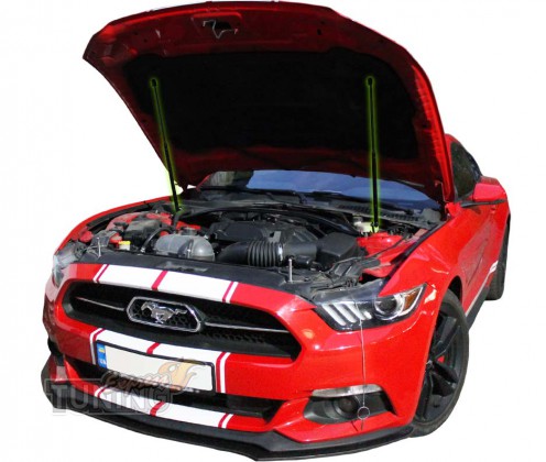Газовые упоры Ford Mustang 6 Дорестайл