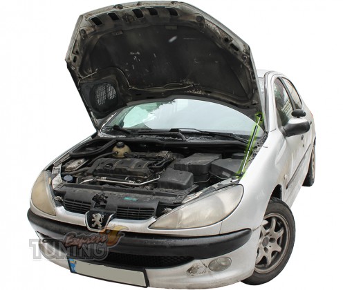 Газовый упор капота Peugeot 206 оригинал Киев