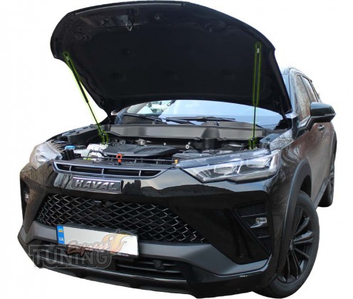 Газовый упор капота Haval H6 GT Оригинал