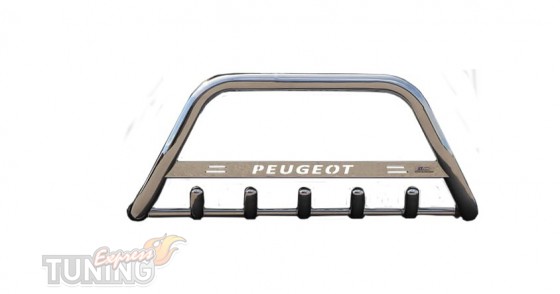 Кенгурятник на Peugeot Expert 3 с 2017- года