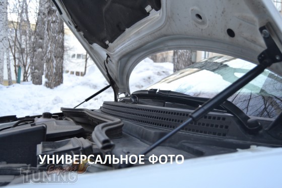 Газовые упоры капота Kia Niro амортизаторы