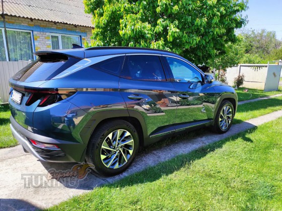 Хромированные молдинги на двери Hyundai Tucson 4