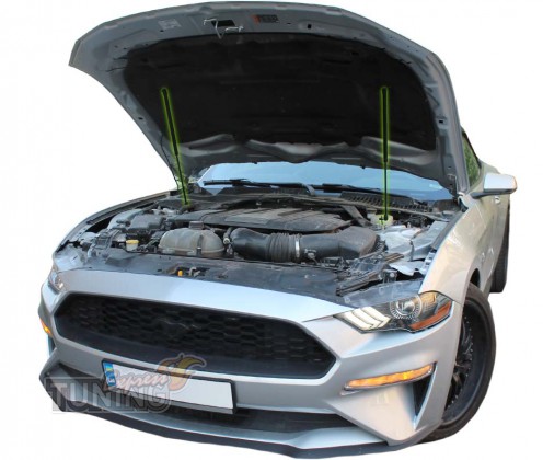 Газовый амортизатор капота Ford Mustang 6 оригинал