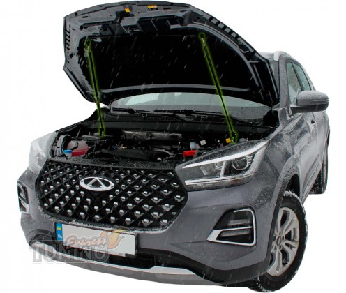 Газовый упор капота Chery Tiggo 4 Pro фото Киев