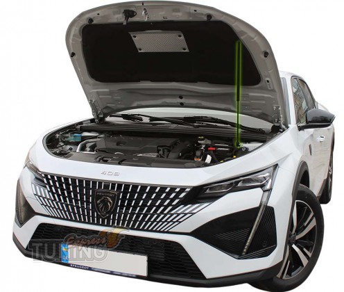 Амортизатор капота Peugeot 408 3 поколения фото