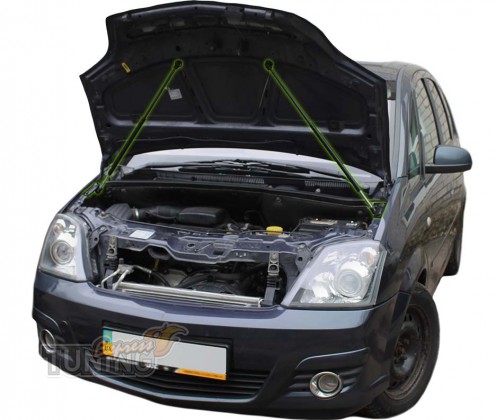 Газовый упор капота Opel Meriva A фото