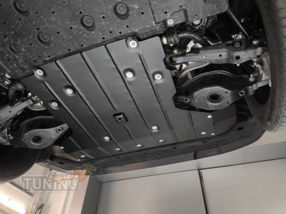 Защита заднего двигателя Nissan Ariya и багажного отдела