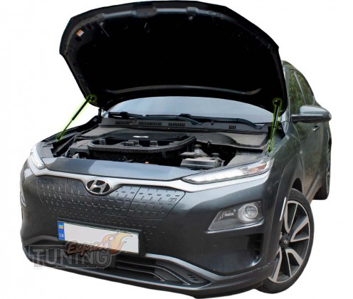 Газовые упоры капота Hyundai Kona амортизаторы 2 шт