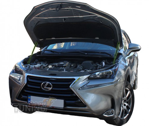 Амортизаторы капота Lexus NX 1 AZ10