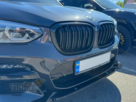 Ноздри решетка для Bmw X3 G01 киев