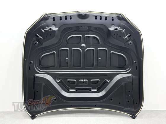 Оригинальный капот для BMW 5 G60 G61 41619633618
