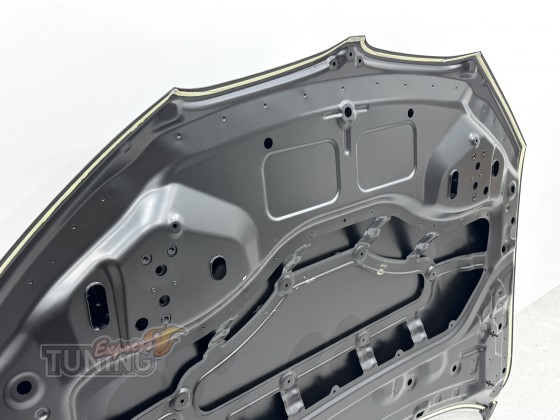 оригинальный капота для Бмв Х1 Ф48 41007463772