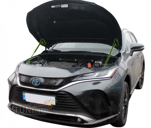 Газовый упор капота Toyota Venza 2 поколения фото