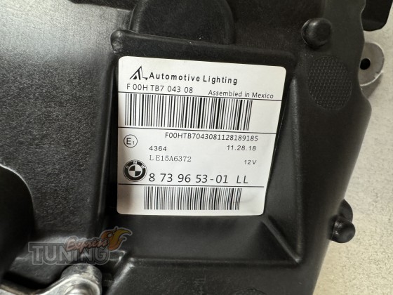 Фирменные фары на  BMW X4 G02 F98