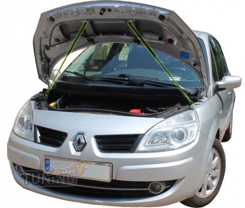 Газовые упоры капота Renault Scenic 2 поколения фото
