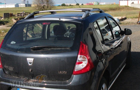 Crown рейлинги Renault Sandero 1 производства Ercul 