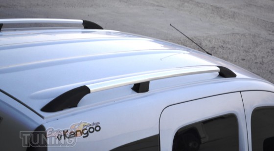 Рейлинги на Renault Kangoo 1 в магазине expresstuning (продольны