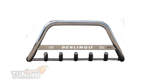 Кенгурятник Citroen Berlingo 1