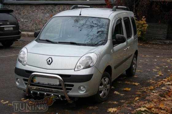 Кенгурятник Renault Kangoo 2 фото стальная защита бампера
